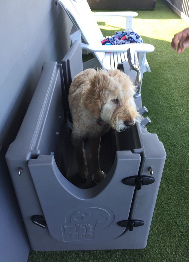 Pet Friendly Beach House Rentals in Florida