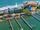 Carpe Diem vacation rental property