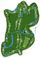 layout of golf course at PGA Golf Club in PGA Village