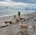 Direct dog beach access