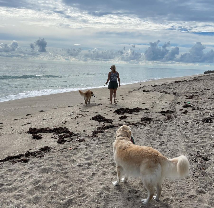 Dog enjoying beach access near a Beach Houses in Paradise home