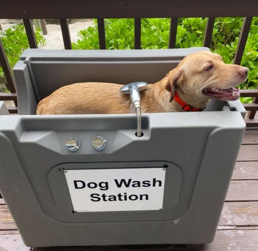 Outdoor PetSpa pet wash station